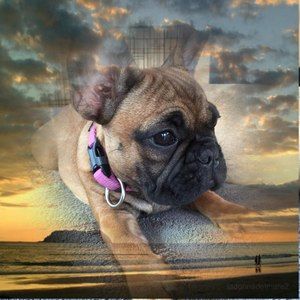 Meet your Posher, Jenny